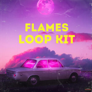 Paul Fix – Flames (Loop Kit)