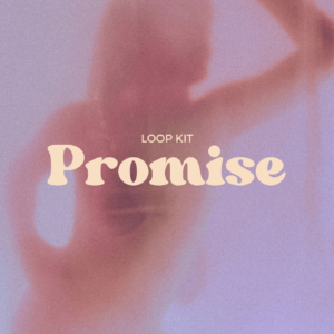 Paul Fix – Promise (Loop Kit)
