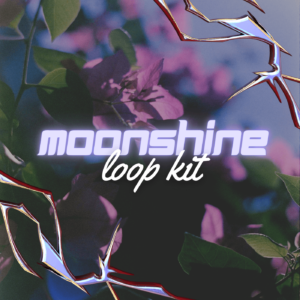 Paul Fix – Moonshine (Loop Kit)
