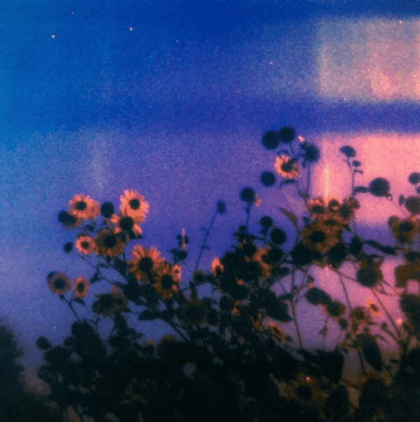 Paul Fix – We are infinite (Untagged Wav + Trackouts)